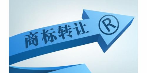 商務(wù)服務(wù)企業(yè)商情 商務(wù)代理與代辦服務(wù)的市場機遇與發(fā)展策略